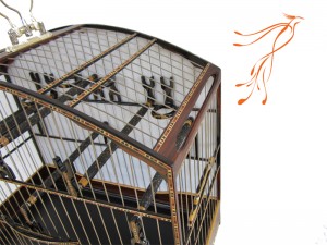 Gaiola para coleiro 004