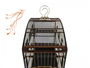 Gaiola para coleiro 004
