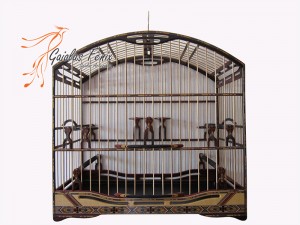 gaiola para trinca ferro 082