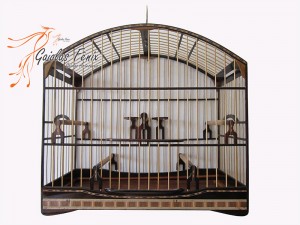 GAIOLAS PARA TRINCA FERRO 084