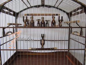 Gaiola para coleiro 001