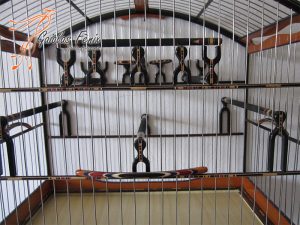 GAIOLA PARA COLEIRO 002