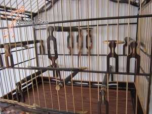 GAIOLA PARA TRINCA FERRO 126