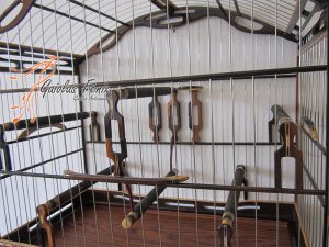 GAIOLA PARA TRINCA FERRO 127