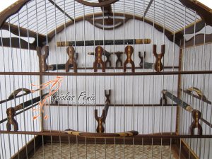 GAIOLA PARA COLEIRO 012