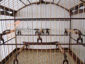 GAIOLA PARA TRINCA FERRO 133