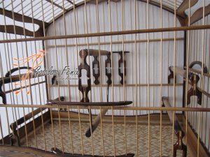 GAIOLA PARA TRINCA FERRO 139