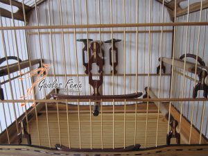 GAIOLA PARA TRINCA FERRO 143