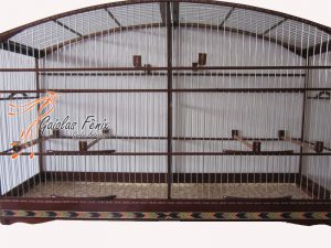 VOADOR PARA COLEIRO 026