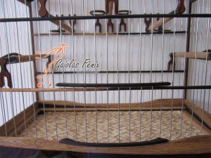 GAIOLA PARA COLEIRO 028