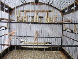 GAIOLA PARA COLEIRO 041