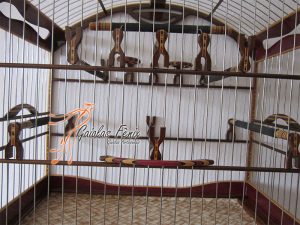 GAIOLA PARA COLEIRO 045