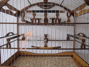 GAIOLA PARA COLEIRO 046