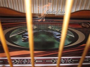 GAIOLA PARA COLEIRO 231